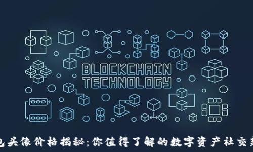   
TP钱包头像价格揭秘：你值得了解的数字资产社交新趋势