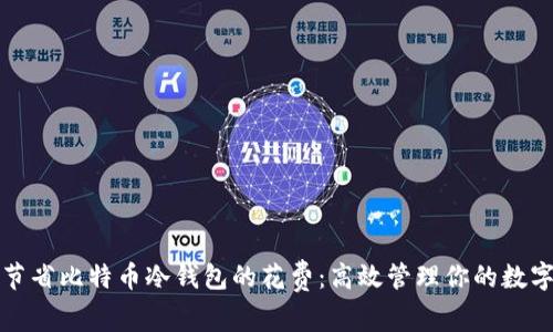 如何节省比特币冷钱包的花费:高效管理你的数字资产