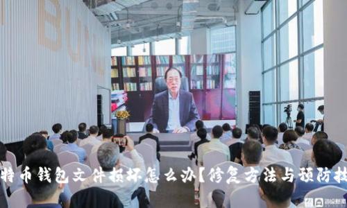 比特币钱包文件损坏怎么办？修复方法与预防技巧