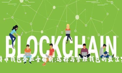 比特币钱包企业全解析：选择与管理钱包的最佳实践