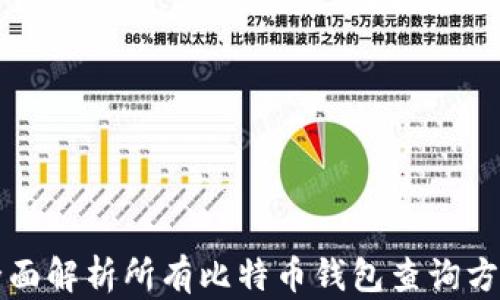 全面解析所有比特币钱包查询方法