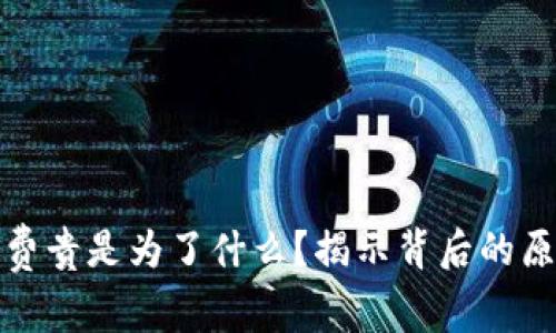 : TP钱包手续费贵是为了什么？揭示背后的原因与解决方案