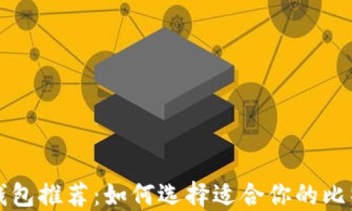 
比特币钱包推荐：如何选择适合你的比特币钱包