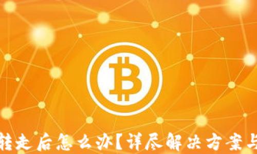 TP钱包被转走后怎么办?详尽解决方案与预防措施