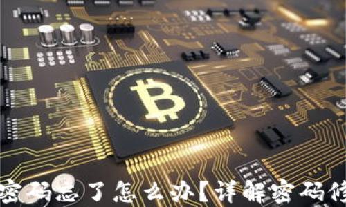 
TP钱包密码忘了怎么办？详解密码修改方法