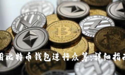 如何利用比特币钱包进行众筹:详细指南与策略