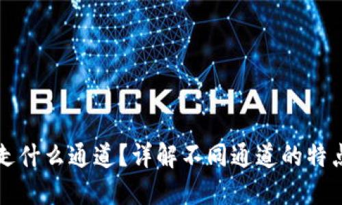 TP钱包提币走什么通道？详解不同通道的特点与选择指南