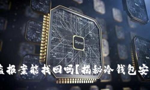 冷钱包USDT被盗报案能找回吗？揭秘冷钱包安全性与维权方法