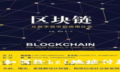 比特币钱包如何给bc1地址付款：全面指南