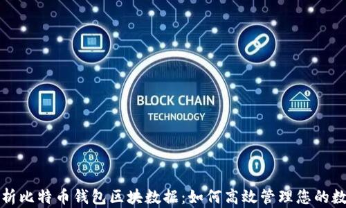 全面解析比特币钱包区块数据:如何高效管理您的数字资产