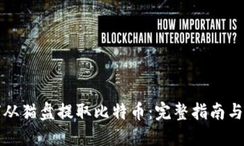 如何从猫盘提取比特币:完整指南与技巧