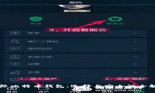 国际比特币钱包：选择与安全性全解析
