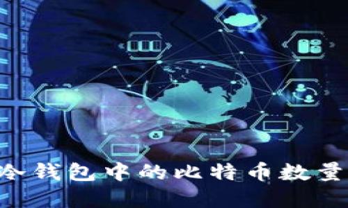 如何查看冷钱包中的比特币数量:完整指南