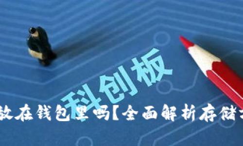 SHIB币必须放在钱包里吗？全面解析存储方式的优缺点