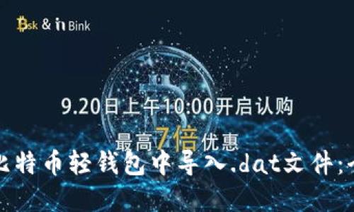 如何在比特币轻钱包中导入.dat文件：全面指南