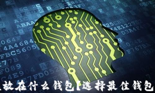 比特币应该放在什么钱包?选择最佳钱包的全面指南