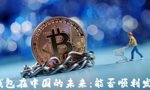
TP钱包在中国的未来：能否顺利发展？
