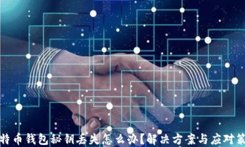 
比特币钱包秘钥丢失怎么办？解决方案与应对策略