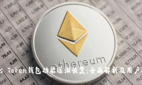 Plus Token钱包功能逐渐恢复：全面解析及用户指南