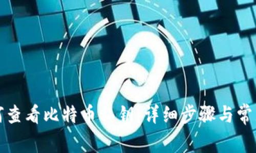 TP钱包如何查看比特币私钥:详细步骤与常见问题解答