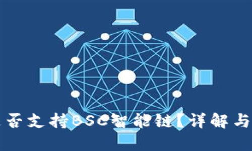 TP钱包是否支持BSC智能链?详解与使用指南