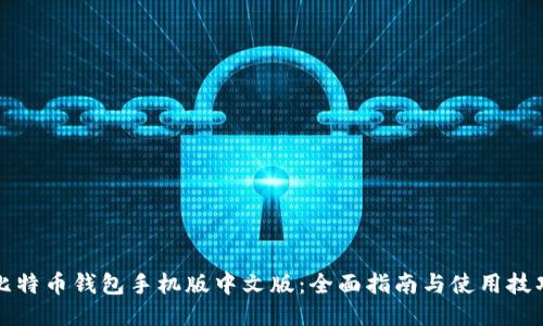 比特币钱包手机版中文版:全面指南与使用技巧