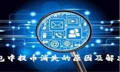 TP钱包中提币消失的原因及