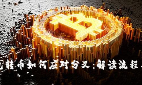 比特币钱包转币如何应对分叉:解读流程与注意事项