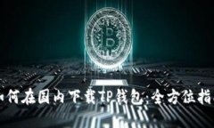 如何在国内下载TP钱包：全