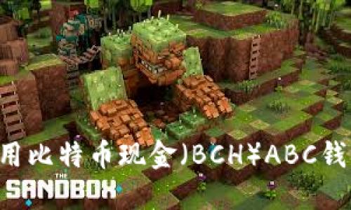 如何安全使用比特币现金(BCH)ABC钱包:详尽指南