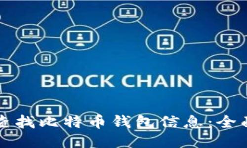 如何查找比特币钱包信息：全面指南