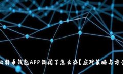 比特币钱包APP倒闭了怎么