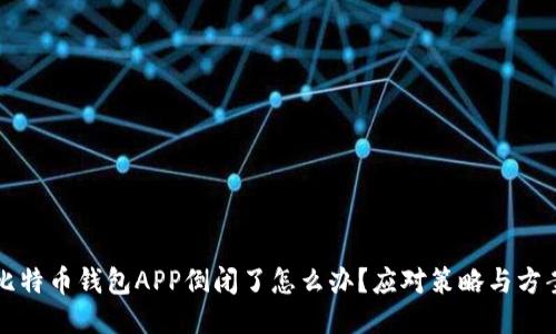 比特币钱包APP倒闭了怎么办？应对策略与方案