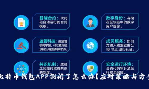 比特币钱包APP倒闭了怎么办？应对策略与方案