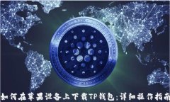 如何在苹果设备上下载T