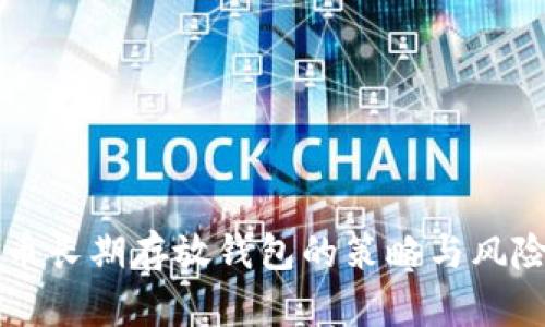 比特币长期存放钱包的策略与风险分析
