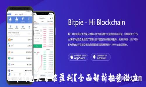 t p钱包是否能盈利?全面解析投资潜力
