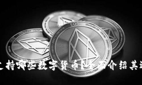 TP钱包支持哪些数字货币？全面介绍其适用范围