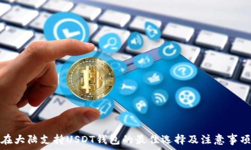 在大陆支持USDT钱包的最佳选择及注意事项