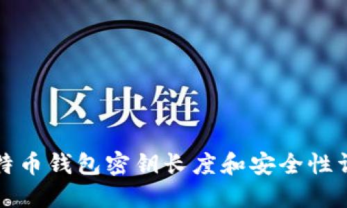 比特币钱包密钥长度和安全性详解