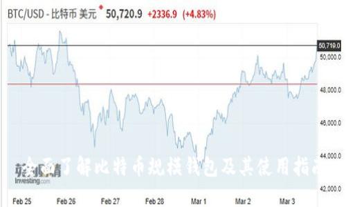 全面了解比特币规模钱包及其使用指南