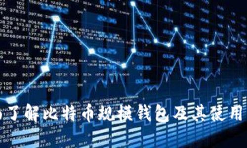 全面了解比特币规模钱包及其使用指南
