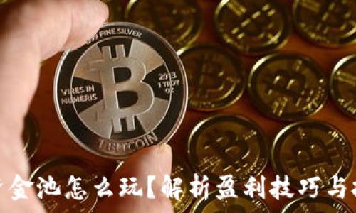   
TP钱包资金池怎么玩？解析盈利技巧与投资策略