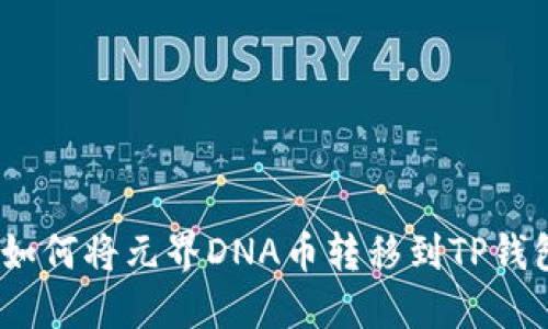 : 如何将元界DNA币转移到TP钱包？